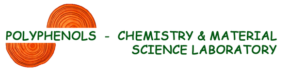 POLYPHENOLS CHEMISTRY & MATERIAL SCIENCE